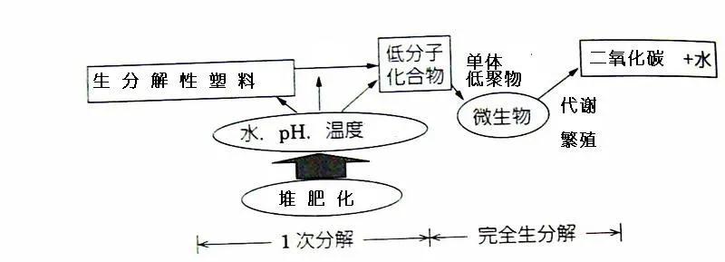 可生物降解環(huán)保塑料可以回收再利用嗎？(圖3)