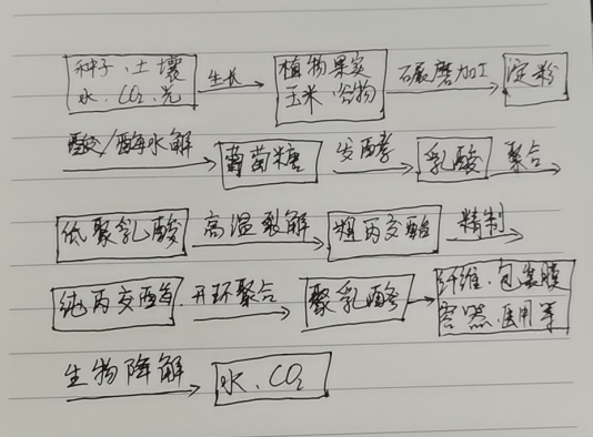 生物降解袋中的PLA是如何制得的？(圖1)